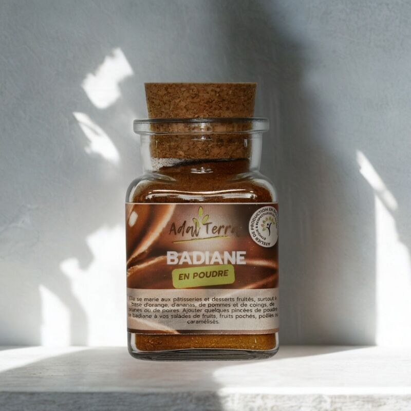 Anice stellato biologico (in polvere) 60G