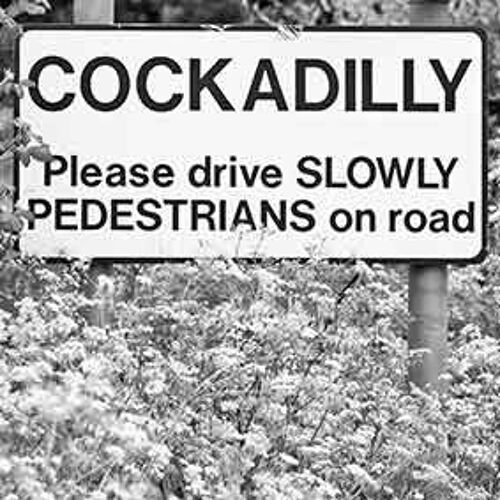 Coaster - Cockadilly