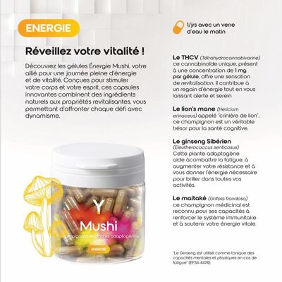 Discovery box of capsules based on mushrooms and adaptogenic plants