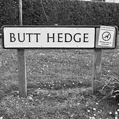 Untersetzer - Butt Hedge