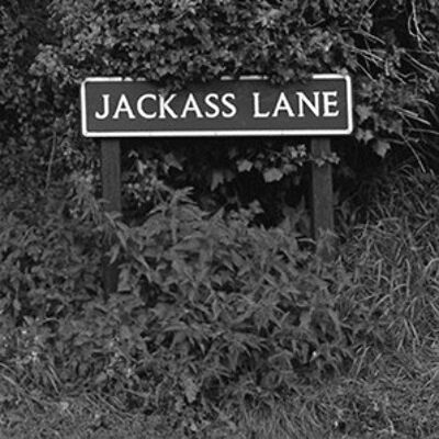 Untersetzer - Jackass Lane