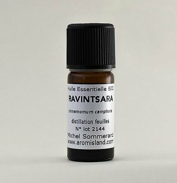 Ravinstara BIO Ätherisches Öl 10 ml Hergestellt von Michel Sommerard