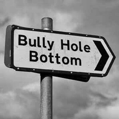 Bully Hole Bottom - Cartolina d'auguri di segnale stradale