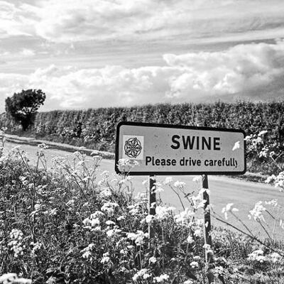 Schwein - Foto-Grußkarte mit Straßenschild