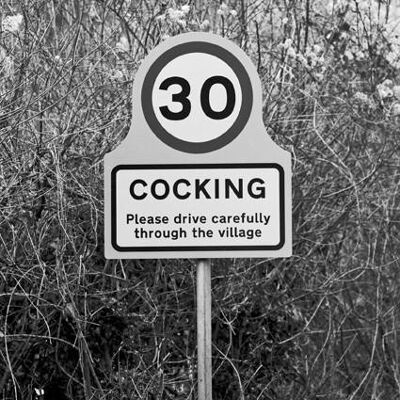 Cocking - Panneau de signalisation photographique Carte de vœux