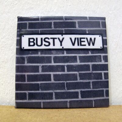BUSTY VIEW - Fridge Magnet