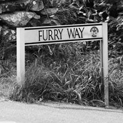 Furry Way - Grußkarte