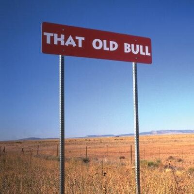 Old Bull, USA - Grußkarte