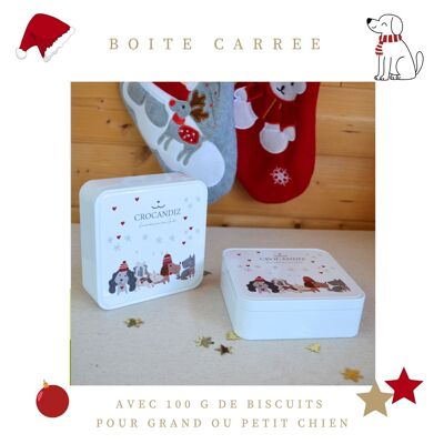 Scatola natalizia di biscotti per cani