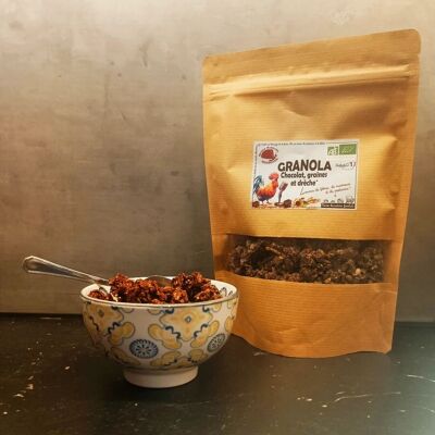 Granola de chocolate, semillas y bagazos.