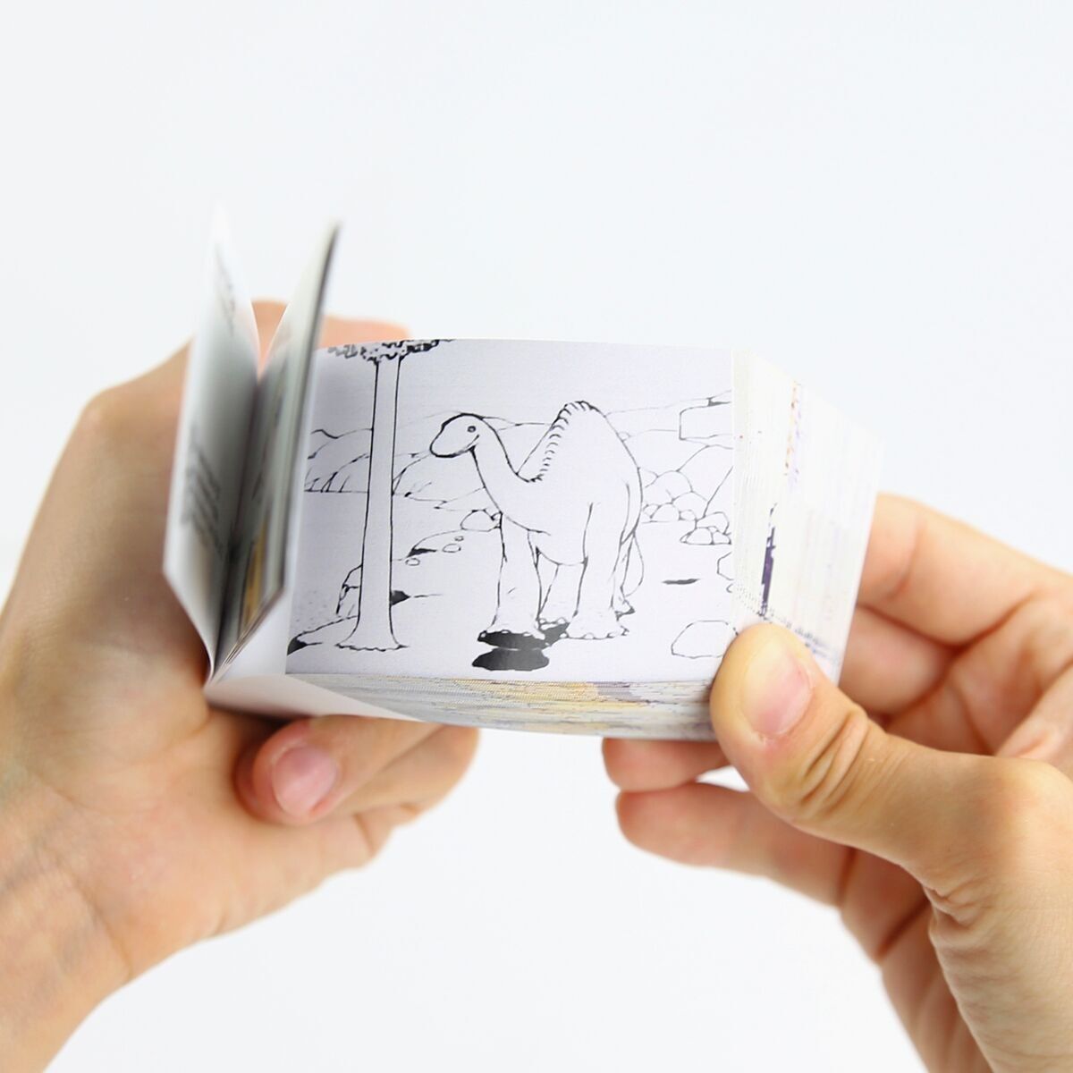 The Pioneers Flipbook Collection