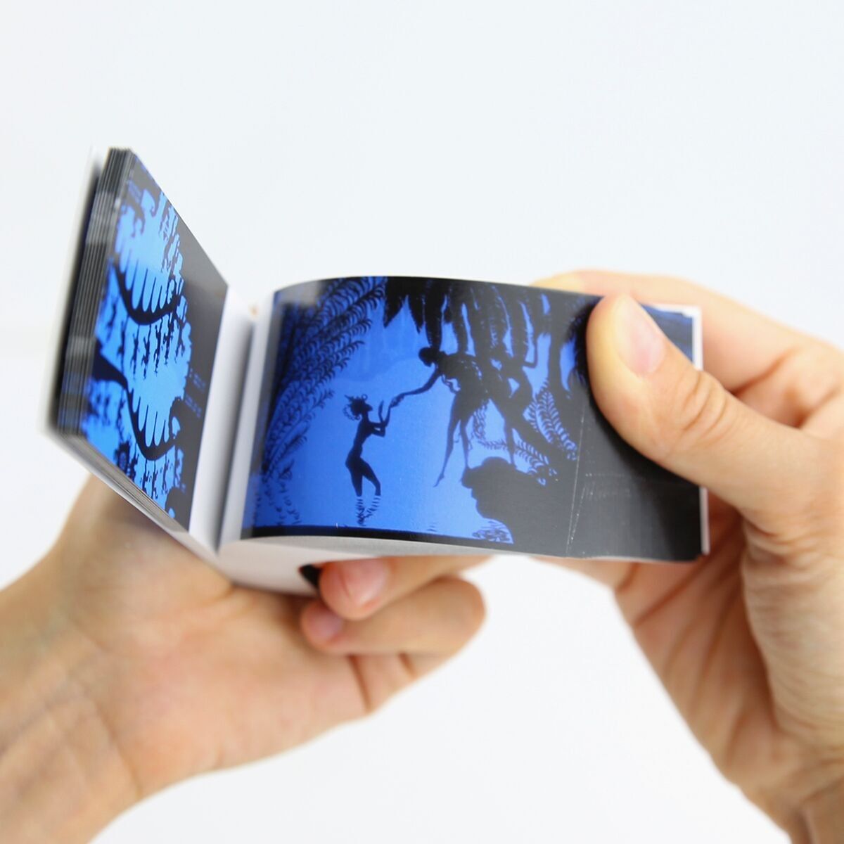 The Pioneers Flipbook Collection