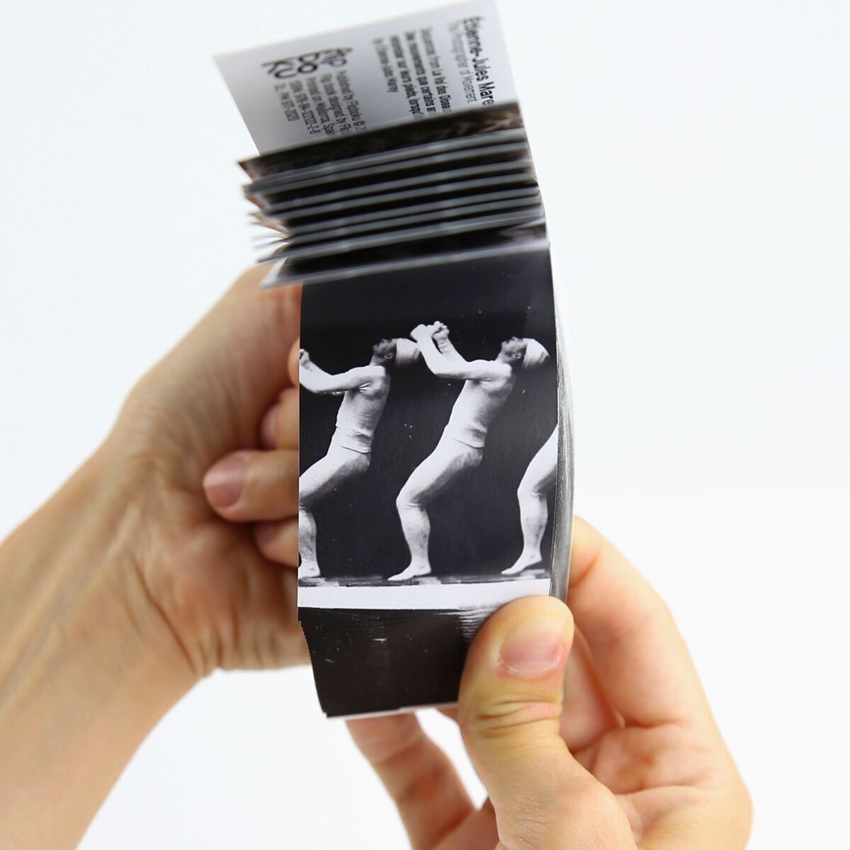 The Pioneers Flipbook Collection