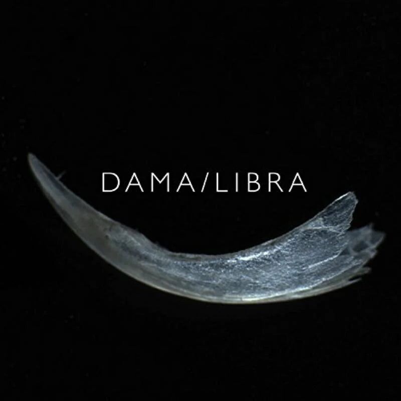 Dama/Libra LP - Artiglio
