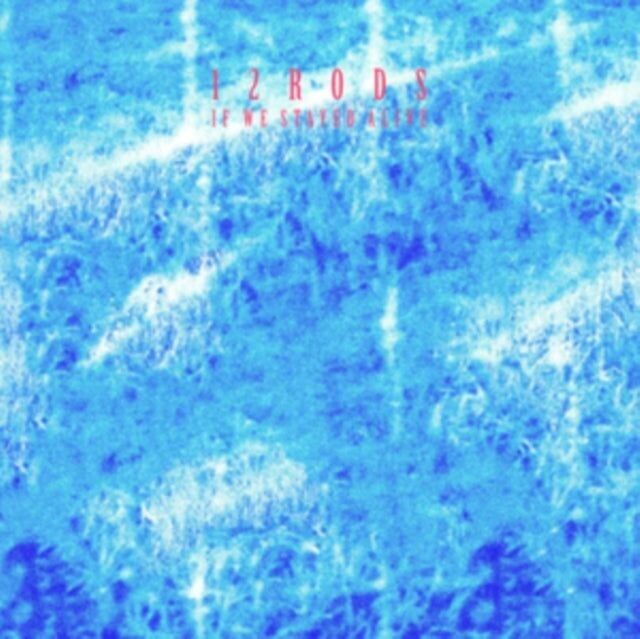 12 Rods LP - Si nos quedáramos con vida