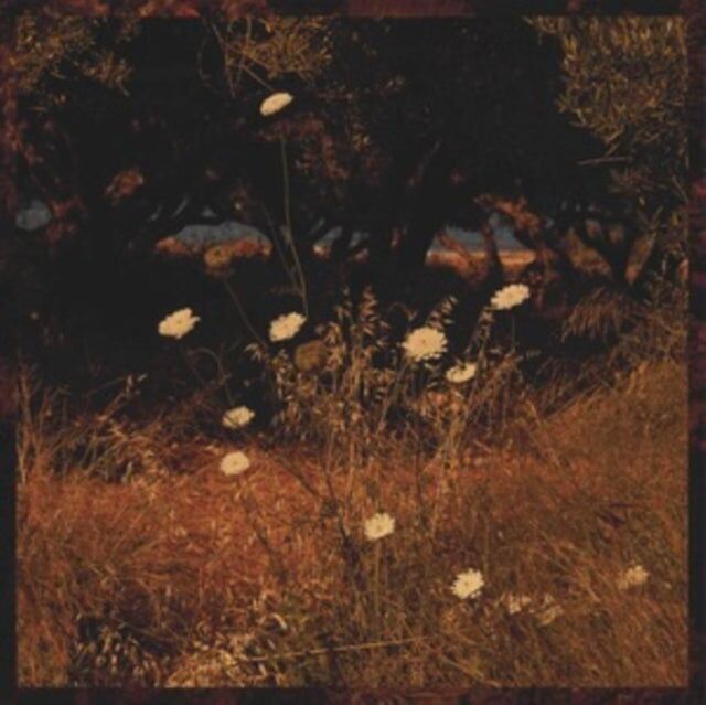 Szun Waves LP - Patrones de la Tierra