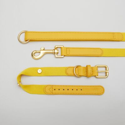 Kit de promenade pour chien avec collier jaune