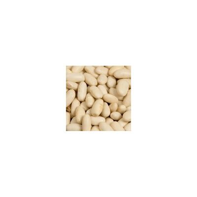 BULK - White beans 500g