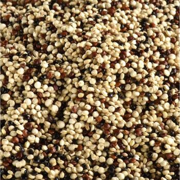 VRAC - Quinoa tricolore 500g