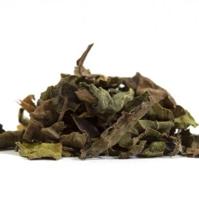 SFUSO - Tulsi - Basilico Santo 500g