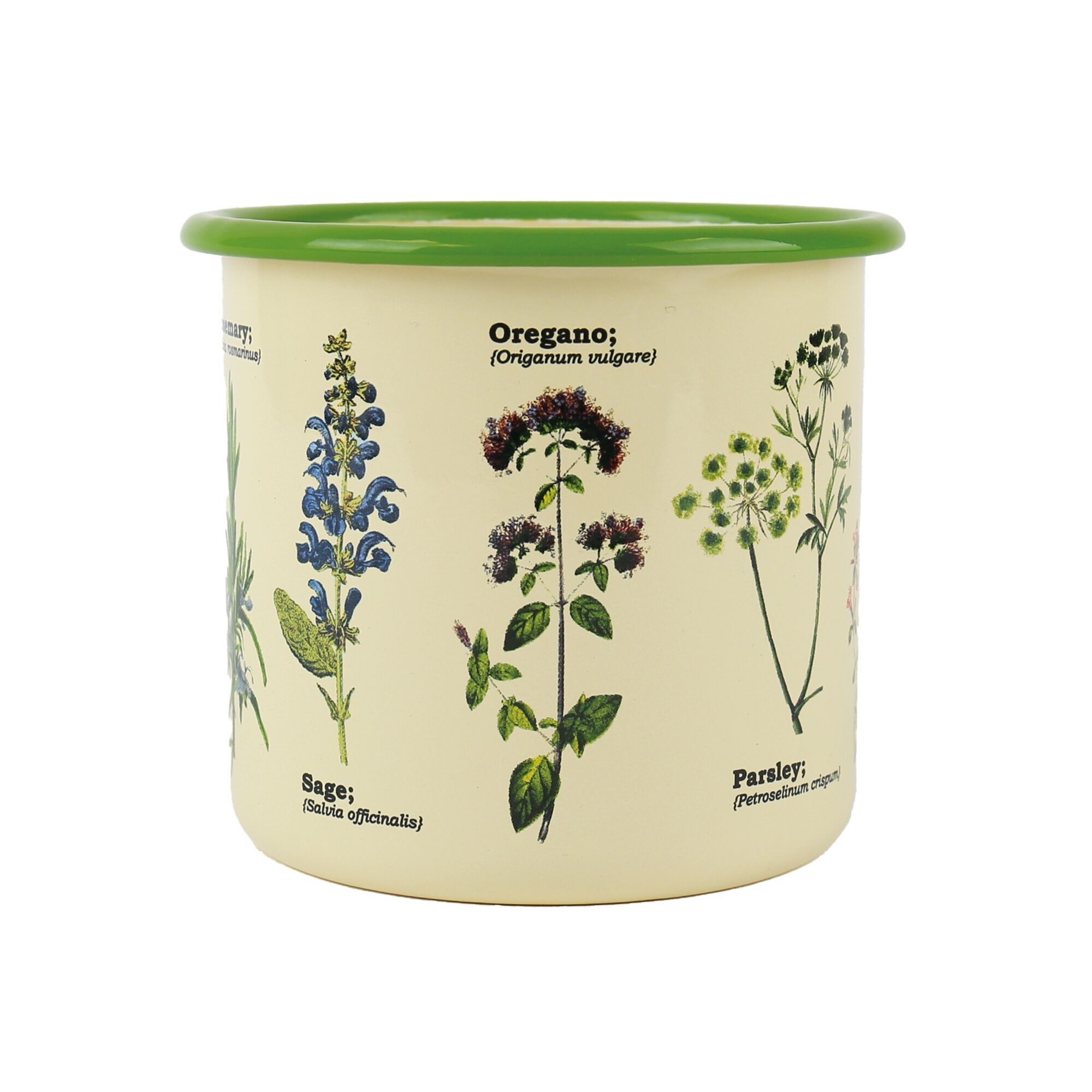 Enamel plant pots herbs