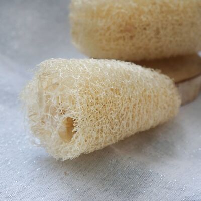 Exfoliating loofah sponge