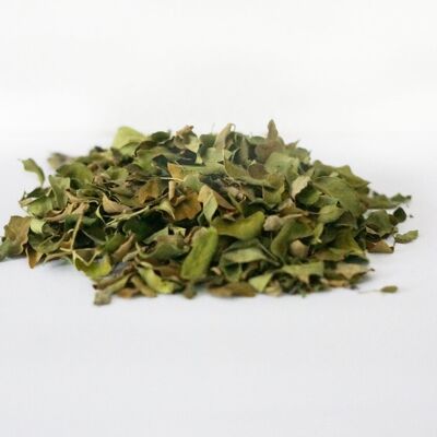 Té de hierbas - Hojas de Moringa