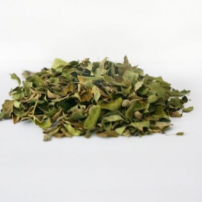 Herbal tea - Moringa leaves