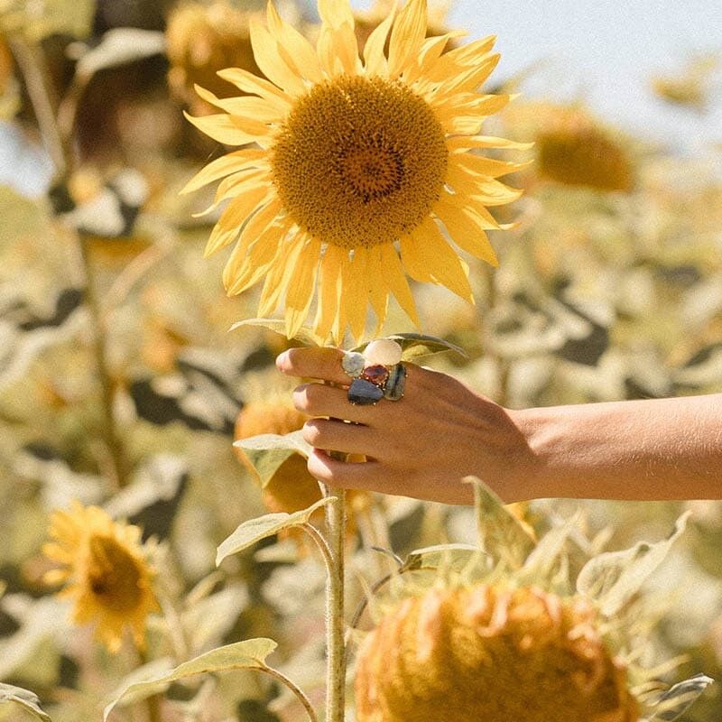 Anello Mosaico Gaudí Ed. Limitato 15
