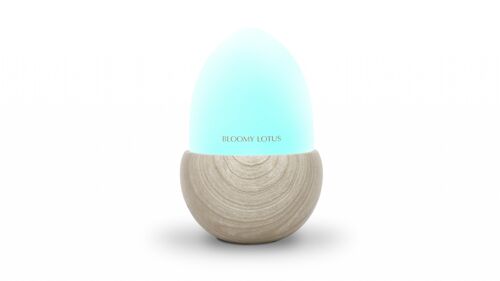 Bloomy Lotus Acorn Ultrasonic Aroma Diffuser