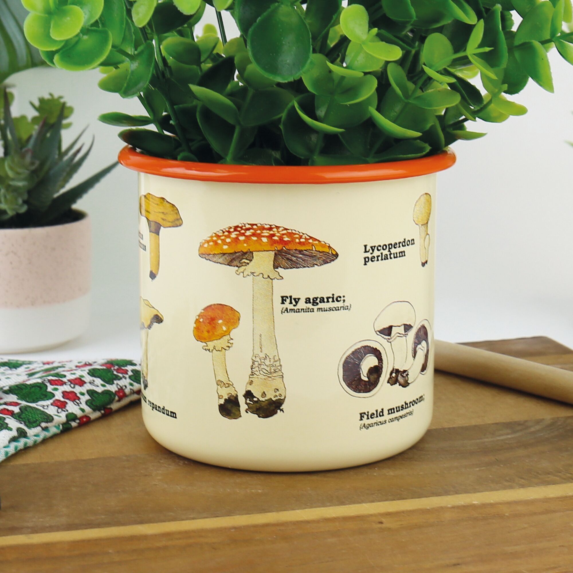 Enamel Mushroom Plant Pots
