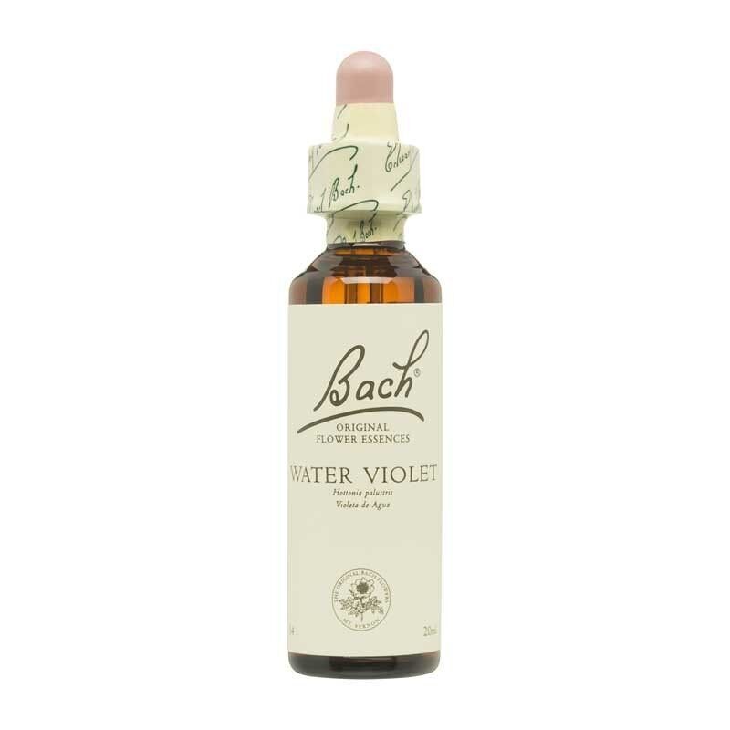 Fiore N. 34 Acqua Viola 20ml Bach