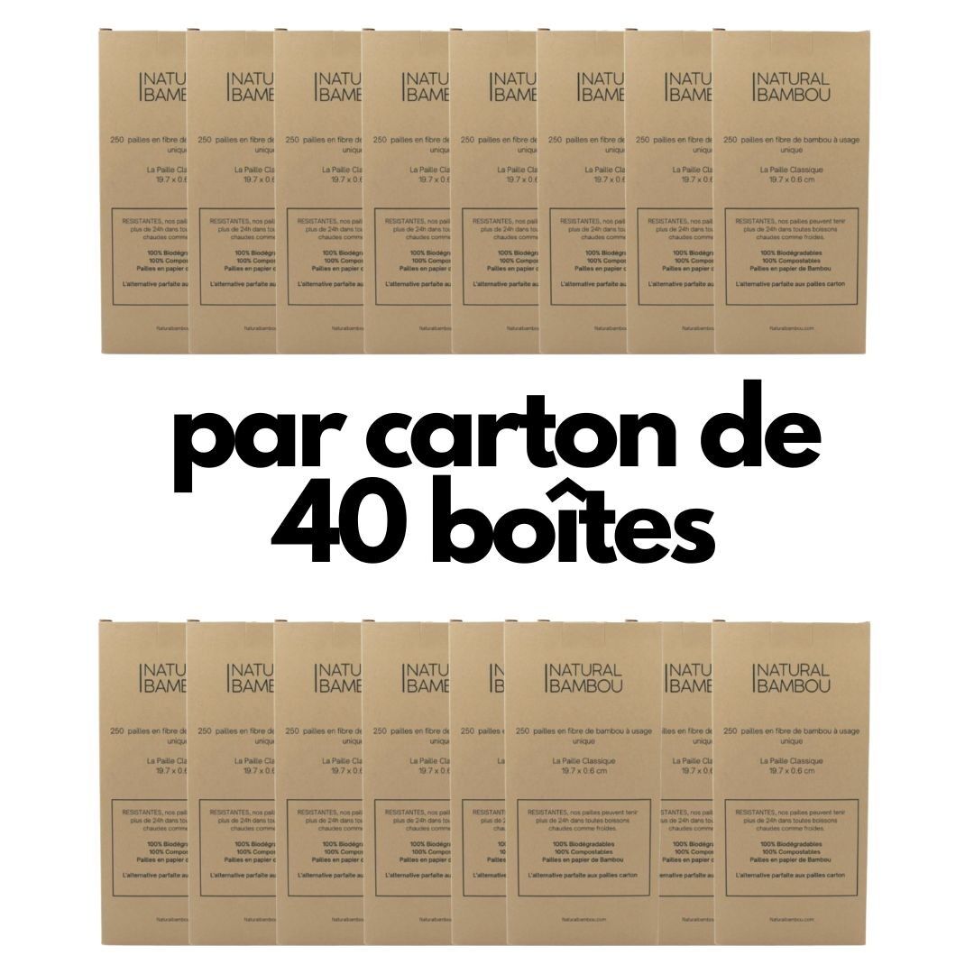 Box of 250 bamboo fiber straws (Per box of 40)