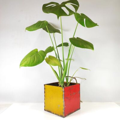 Flowerpot planter 8.5x8.5x8.5 cm from recycled oil drums Upcycling | various colors