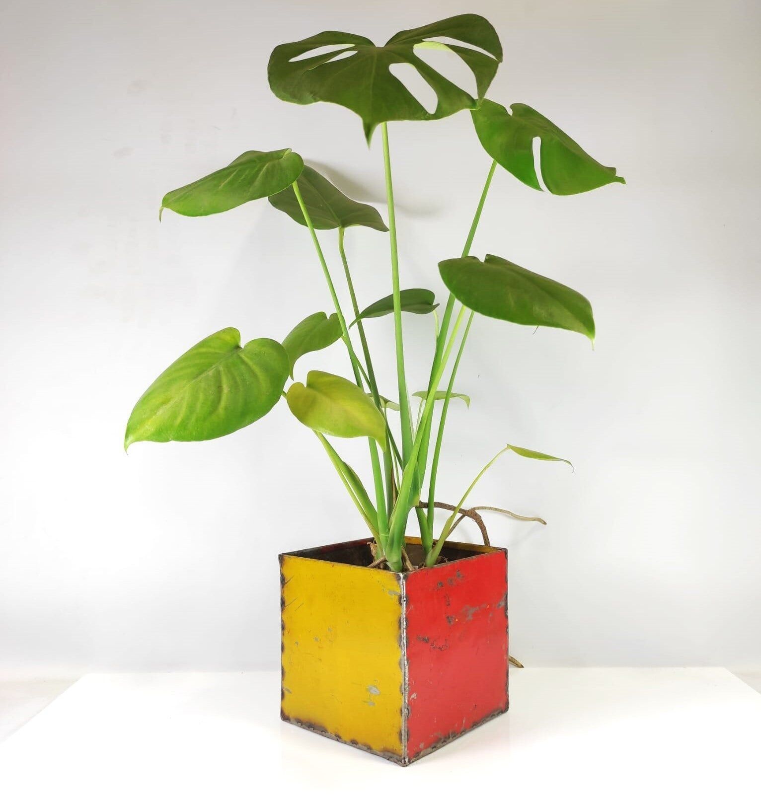 Flowerpot planter 8.5x8.5x8.5 cm from recycled oil drums Upcycling | various colors