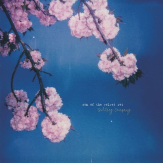 Figlio del ratto di velluto LP - Compagnia solitaria