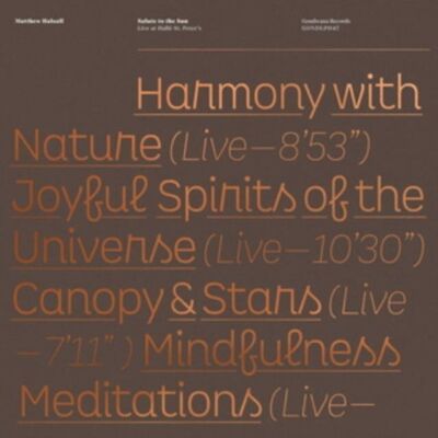 Disque vinyle LP de Matthew Halsall - Salute To The Sun en direct à Halle St.Pierre