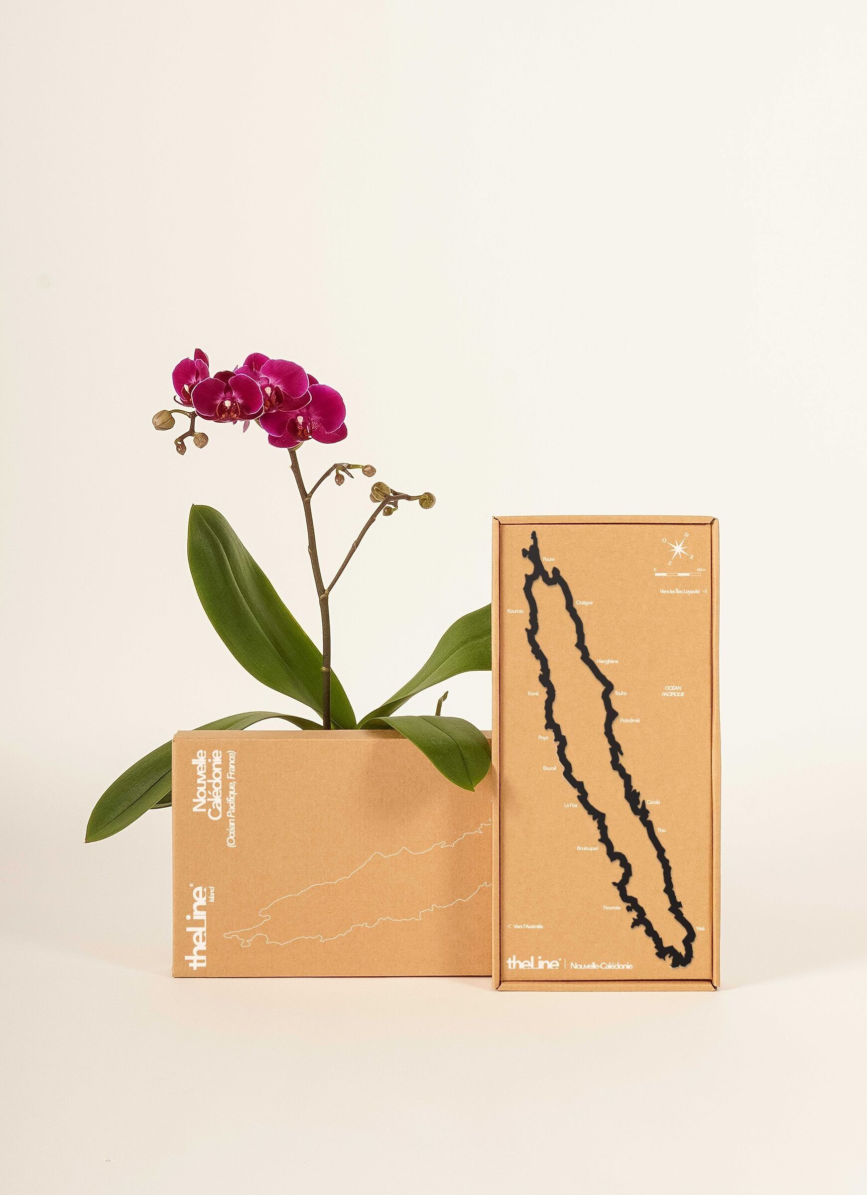 Skyline - The Line Nueva Caledonia - acero negro