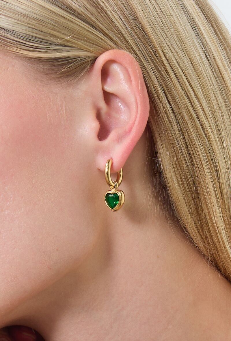 Orecchini in acciaio inossidabile 124AQ241