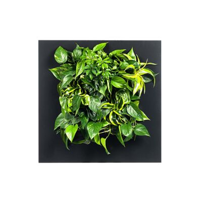 LIVE PICTURE - Cadre mural vivant - 72cm - Noir