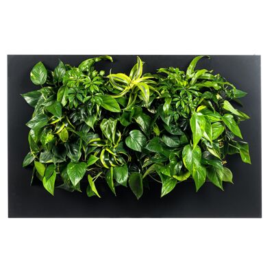 LIVE PICTURE - Cadre mural vivant - 112cm - Noir