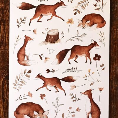 Poster -Wimmel Foxes-