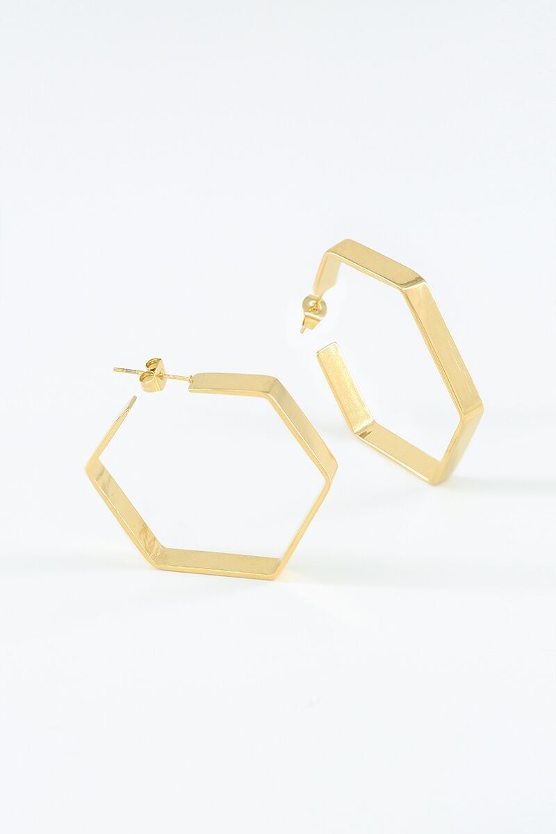 Orecchini in acciaio inossidabile 124RX99