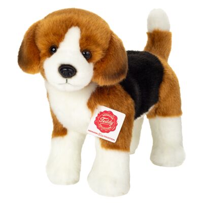 Beagle in piedi 23 cm - peluche - animale di pezza