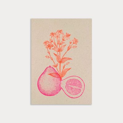 Cartolina/Pomelo/Risografia