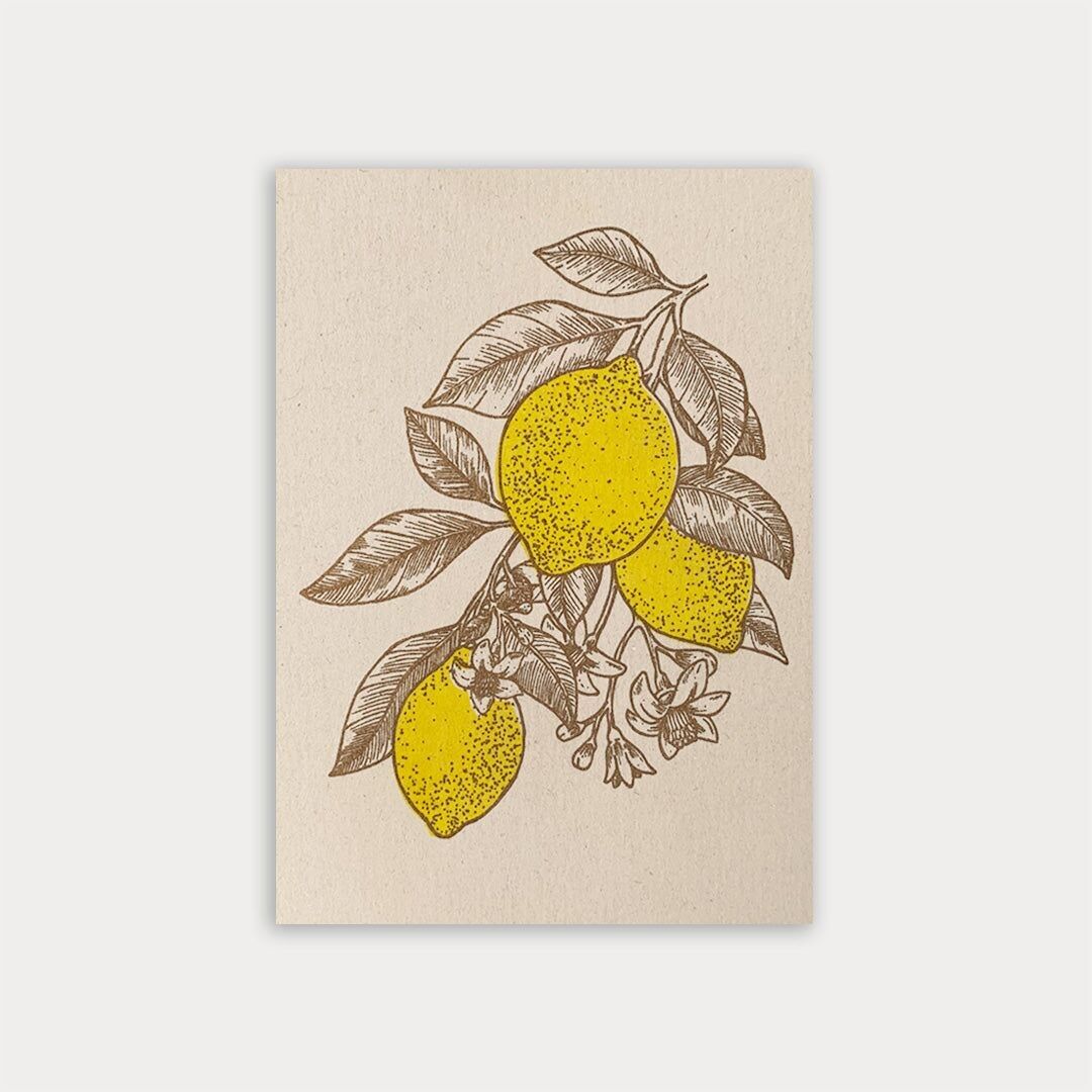 Postal / limones / papel ecológico