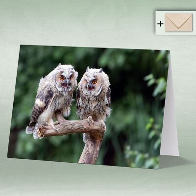 Greeting card, double card 8123