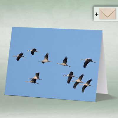 Greeting card, Doppelkarte 8134