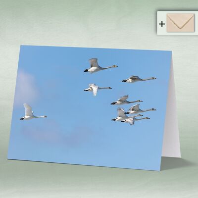 Greeting card, Doppelkarte 8133