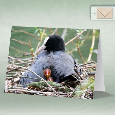 Greeting card, double card 8121